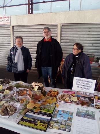 Socit Gasconne de Mycologie