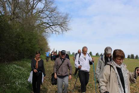 la marche du Coeur